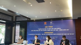 Press Release: Webinar on E-commerce in the UKVFTA