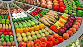 Các doanh nghiệp sản xuất, xuất khẩu nông sản cần chủ động tìm kiếm hướng đi mới để tăng cơ hội tại nhiều thị trường xuất khẩu.