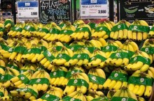 MỜI ĐĂNG KÝ KẾT NỐI GIAO THƯƠNG TRỰC TIẾP VỚI NHÀ NHẬP KHẨU NƯỚC NGOÀI