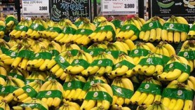 Chuối Việt chính thức lên kệ tại chuỗi siêu thị Lotte Mart ở Hàn Quốc