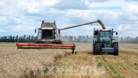 WTO members consider how to revamp stuck ag talks post-MC12