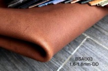 Các chính sách mới và các biến động trong khu vực ảnh hưởng đến hợp tác kinh tế, thương mại với Việt Nam