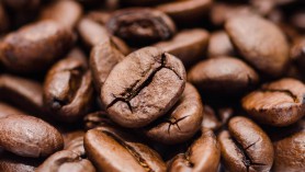 Vietnam's coffee exports to the EU in 2021 decreased due to the Covid-19 pandemic