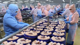 The International Big Brand Fair "PLMA'S WORLD OF PRIVATE LABEL 2022" in the Netherlands