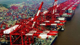 Business opportunity: B2B Meeting with Russia’s Agro-food Companies in Ho Chi Minh City