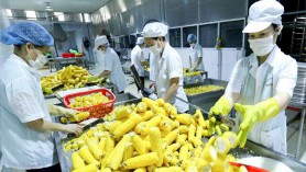 Nông nghiệp chỉ chiếm 0,28% GDP của Bahrain: Tiềm năng cho xuất khẩu nông sản của Việt Nam