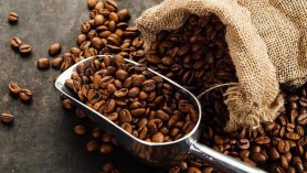 Brazilian coffee exports hit record in September