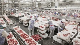 Xuất khẩu hàng hóa sang Na Uy tăng mạnh trong 10 tháng năm 2020