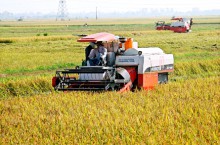 Vietnam project sows seeds of sustainability: An innovative collaboration between New Zealand and Vietnam 