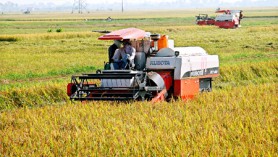 Vietnam project sows seeds of sustainability: An innovative collaboration between New Zealand and Vietnam 