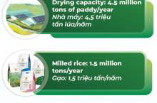 TẬP ĐOÀN LỘC TRỜI VÀ HÀNH TRÌNH NÔNG NGHIỆP XANH 30 NĂM “CÙNG NÔNG DÂN PHÁT TRIỂN BỀN VỮNG”