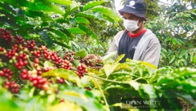 Overview of Russia's foreign trade in 2021