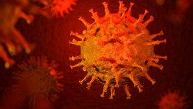 Covid-19 changes Korean consumption