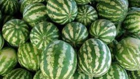 Xuất khẩu nông sản của Việt Nam sang thị trường EU thông qua việc sử dụng C⁄O mẫu EUR.1