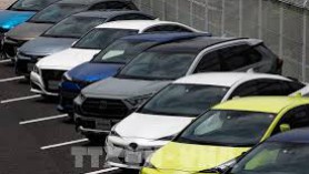 Toyota Indonesia’s car exports likely to fall 40-50 percent in 2020