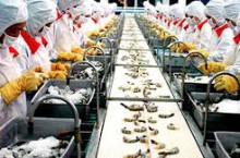 7 tháng đầu năm 2020: Xuất khẩu hàng hóa sang thị trường Đức giảm nhẹ so với cùng kỳ năm 2019