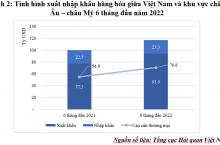 Đánh giá chung về tình hình xuất nhập khẩu giữa Việt Nam và khu vực châu Âu-châu Mỹ trong quý 2 năm 2022