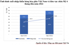 Phân tích tình hình XNK giữa Việt Nam và các nước khu vực châu Mỹ trong 6 tháng đầu năm 2022
