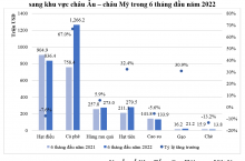 Tình hình xuất khẩu mặt hàng nông sản sang khu vực Âu- Mỹ trong 6 tháng đầu năm 2022
