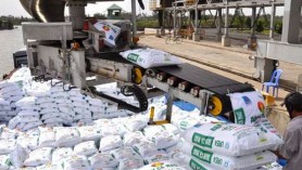 Nhập khẩu phân bón vào Việt Nam 11 tháng năm 2020