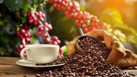 Japanese customers prefer Viet Namese coffee