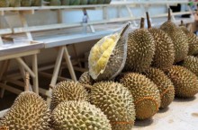 Vietnam durian, pomelo, passion fruit in row to be exported to China