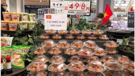 Vải thiều Việt Nam đáp ứng nhu cầu  người Nhật Bản