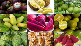 Xuất khẩu nông sản của Việt Nam đã có mặt tại hơn 160 nước trên thế giới