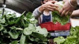 Vegetable prices surge in Japan due to heavy rain and lack of sunlight