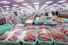 Cá tra Việt tự tin mở rộng thị trường