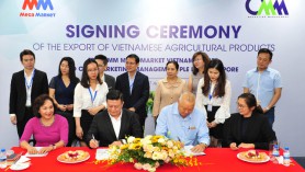 Kết nối đưa nông sản Việt vào hệ thống siêu thị Singapore