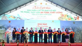 Kết nối phân phối nông sản Hòa Bình vào chuỗi siêu thị Big C