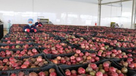 Xuất khẩu đã tiệm cận mục tiêu tăng trưởng năm 2019