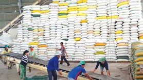 Nhiều ngành hàng tỷ USD chạy đua về đích