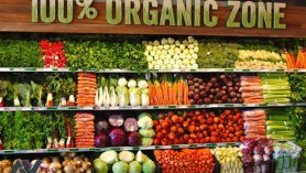 Đưa nông sản Việt Nam tiến sâu hơn vào thị trường Hoa Kỳ