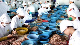 Tìm đường xuất khẩu sang thị trường Đông Âu