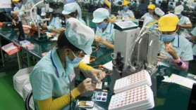 Việt Nam đứng đầu các nước trong khu vực Đông Nam Á xuất khẩu sang Hungary