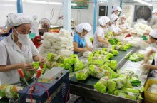 Thailand's export contingency: Authorities in Thailand are preparing for the potential of a sharp decrease in fresh produce exports