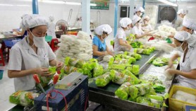Thailand's export contingency: Authorities in Thailand are preparing for the potential of a sharp decrease in fresh produce exports