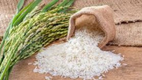 Algeria prohibits its private enterprises from importing all kinds of rice and beans