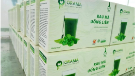 Những món rau trái nhiệt đới quen thuộc đời thường của người Việt, đã đi khắp các thị trường khó tính nhất của thế giới