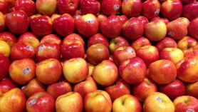 Laos' non-tariff measures and other trade regulations