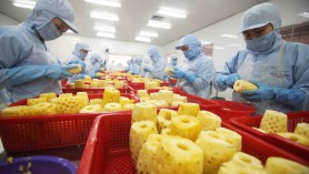 Tình hình kinh tế, xã hội khu vực châu Âu