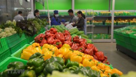 Assessing the potential of vegetables and fruits exported to Malaysia