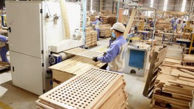 Assessing the potential of timber and timber products exported to Malaysia