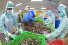 Assess the impact of the CPTPP commitments on the seafood