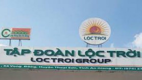 TẬP ĐOÀN LỘC TRỜI – DOANH NGHIỆP SẢN XUẤT LÚA GẠO HÀNG ĐẦU VIỆT NAM, TIN TƯỞNG LỰA CHỌN VIET NAM INTERNATIONAL SOURCING ĐỂ VƯƠN XA TRÊN THỊ TRƯỜNG TOÀN CẦU
