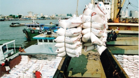 Quy mô thị trường gạo Bắc Âu