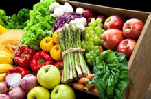 Potential of vegetable and fruit export to Singapore